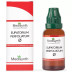 Medisynth Eupatorium Perfoliatum 1X (Q) (30ml)