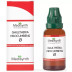 Medisynth Gaultheria Procumbens 1X (Q) (30ml)