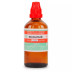 Bhandari Bach Flower Clematis (100ml)