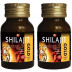 Dabur Shilajeet Gold (20caps, Pack of 2)