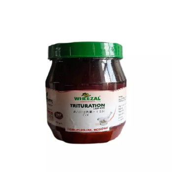 Wheezal Pancreatin 6X (450g)