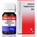 Dr Reckeweg Natrum Sulphuricum 30X (20g)