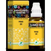 New Life Bach Flower Pine (30ml)