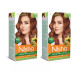 Nisha Creme Hair Color 4.3 Golden Brown (Developer 60ml + Colorant Tube 60gm + Conditioner 6ml + Glove) (1Pack, Pack of 2)