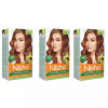 Nisha Creme Hair Color 4.3 Golden Brown (Developer 60ml + Colorant Tube 60gm + Conditioner 6ml + Glove) (1Pack, Pack of 3)