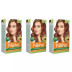 Nisha Creme Hair Color 4.3 Golden Brown (Developer 60ml + Colorant Tube 60gm + Conditioner 6ml + Glove) (1Pack, Pack of 3)