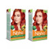 Nisha Creme Hair Color 5.64 Copper Red (Developer 60ml + Colorant Tube 60gm + Conditioner 6ml + Glove) (1Pack, Pack of 2)