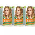 Nisha Creme Hair Color 7.3 Honey Blonde (Developer 60ml + Colorant Tube 60gm + Conditioner 6ml + Glove) (1Pack, Pack of 3)