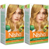 Nisha Creme Hair Color 8.1 Golden Blonde (Developer 60ml + Colorant Tube 60gm + Conditioner 6ml + Glove) (1Pack, Pack of 2)