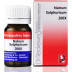 Dr Reckeweg Natrum Sulphuricum 200X (20g)