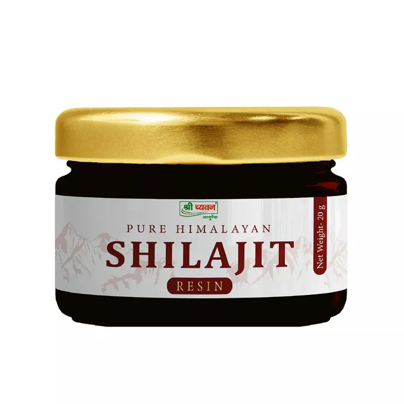 Shri Chyawan Ayurveda Himalayan Shilajit Resin (20g)