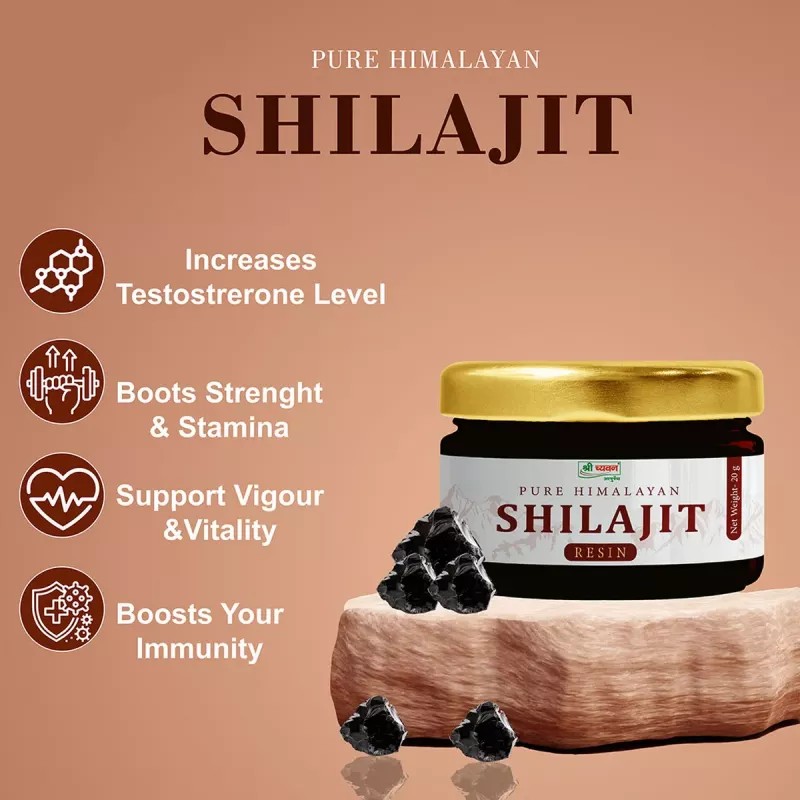Shri Chyawan Ayurveda Himalayan Shilajit Resin (20g)