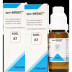 Adel Pekana Adel 87 (Apo-Inkeft Drops) (20ml, Pack of 2)