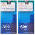 Allen A66 Lung Infection Drops (30ml, Pack of 2)