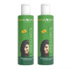 Bakson Sunny Arnica Hair Oil (250ml, Pack of 2)