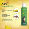 Bakson Sunny Arnica Hair Oil (250ml, Pack of 2)