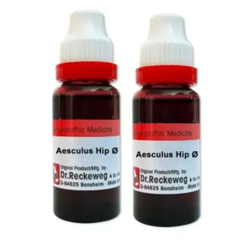 Dr Reckeweg Aesculus Hippocastanum 1X (Q) (20ml, Pack of 2)