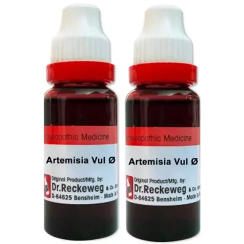 Dr Reckeweg Artemisia Vulgaris 1X (Q) (20ml, Pack of 2)