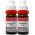 Dr Reckeweg Conium Maculatum 200 CH (11ml, Pack of 2)