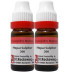 Dr Reckeweg Hepar Sulphur 200 CH (11ml, Pack of 2)