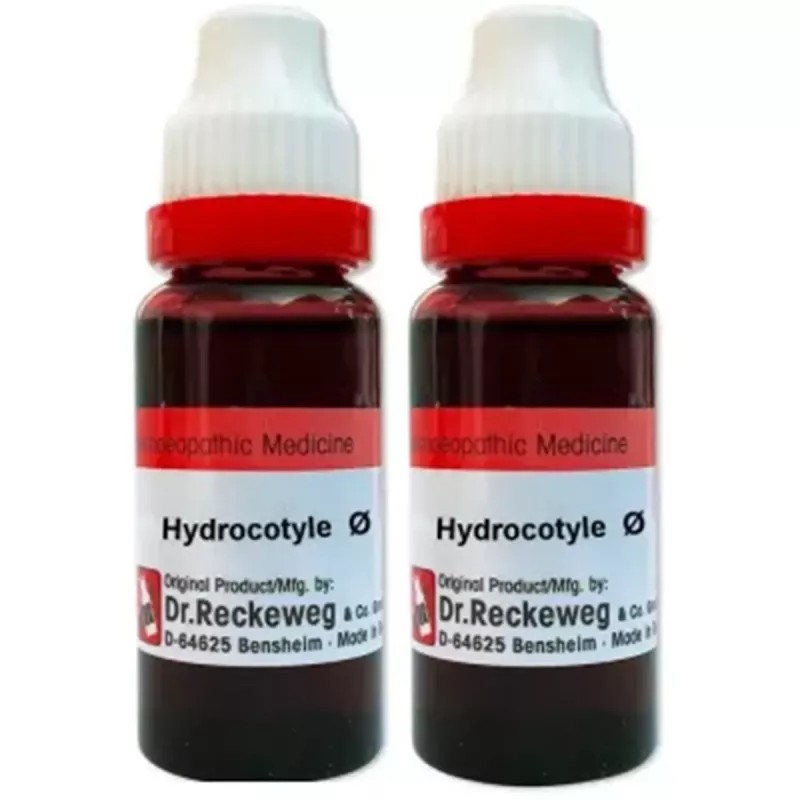 Dr Reckeweg Hydrocotyle Asiatica 1X (Q) (20ml, Pack of 2)