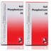 Dr Reckeweg Kali Phosphoricum 3X (20g, Pack of 2)