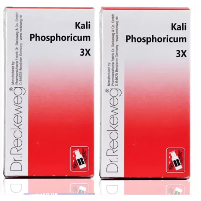 Dr Reckeweg Kali Phosphoricum 3X (20g, Pack of 2)