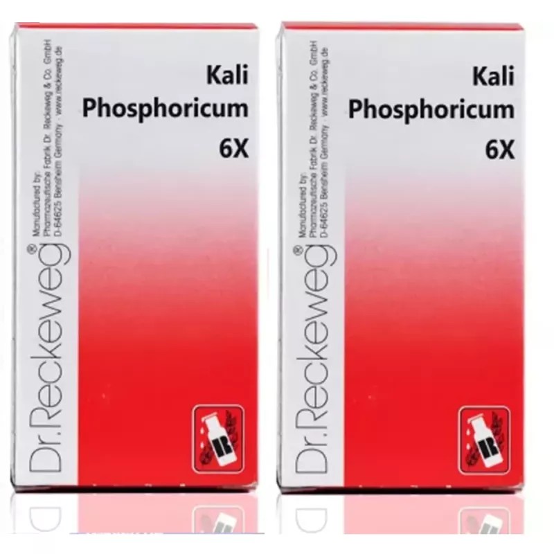 Dr Reckeweg Kali Phosphoricum 6X (20g, Pack of 2)