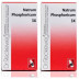 Dr Reckeweg Natrum Phosphoricum 3X (20g, Pack of 2)