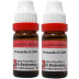 Dr Reckeweg Pulsatilla Nigricans 200 CH (11ml, Pack of 2)