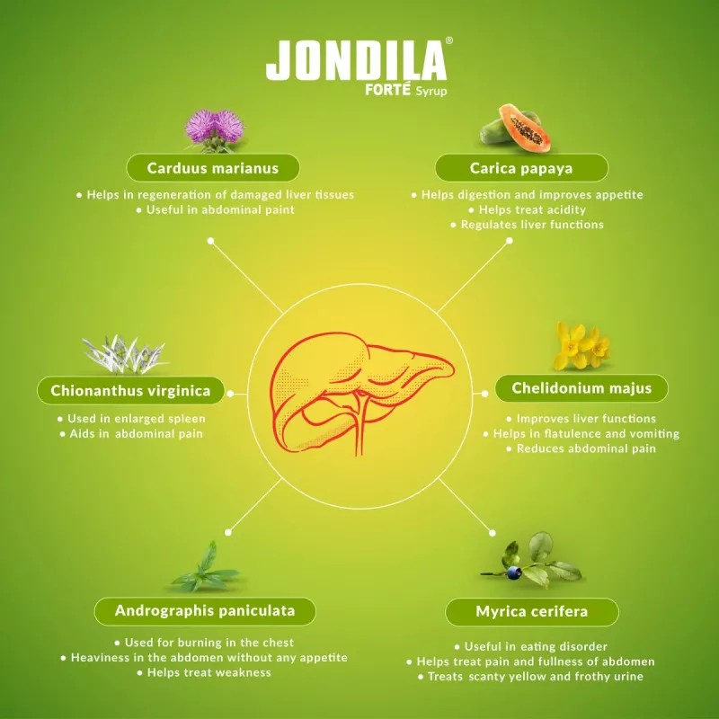 Medisynth Jondila Syrup (120ml, Pack of 2)