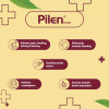 Medisynth Pilen Cream (20g, Pack of 2)