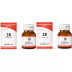 Medisynth Biochemic Combination No28 (25g, Pack of 2)