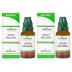 Medisynth Ledum Palustre 30 CH (30ml, Pack of 2)