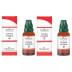 Medisynth Pothos Foetidus 1X (Q) (30ml, Pack of 2)