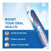 Wheezal Hekla Lava Dental Cream (Tooth Paste) (100g, Pack of 2)