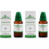 Wheezal Abies Can 1X (Q) (30ml, Pack of 2)