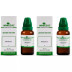Wheezal Abrotanum 1X (Q) (30ml, Pack of 2)