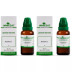 Wheezal Absinthium 1X (Q) (30ml, Pack of 2)