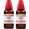 Willmar Schwabe India Berberis Aquifolium 1X (Q) (30ml, Pack of 2)