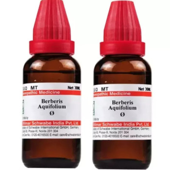 Willmar Schwabe India Berberis Aquifolium 1X (Q) (30ml, Pack of 2)