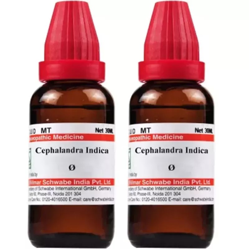 Willmar Schwabe India Cephalandra Indica 1X (Q) (30ml, Pack of 2)