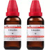 Willmar Schwabe India Colocynthis 1X (Q) (30ml, Pack of 2)