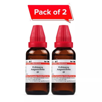 Willmar Schwabe India Echinacea Angustifolia 1X (Q) (30ml, Pack of 2)