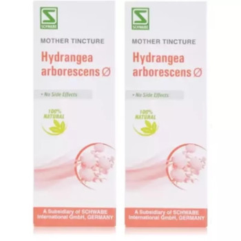 Willmar Schwabe India Hydrangea Arborescens 1X (Q) (30ml, Pack of 2)
