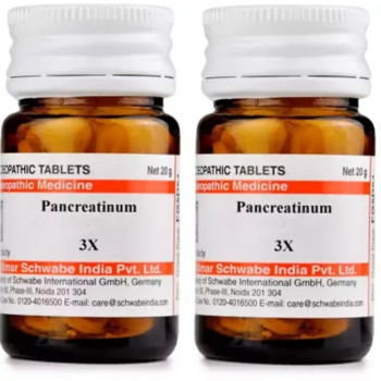 Willmar Schwabe India Pancreatinum 3X (20g, Pack of 2)