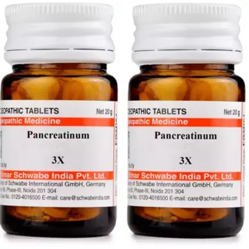 Willmar Schwabe India Pancreatinum 3X (20g, Pack of 2)