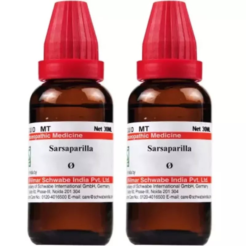 Willmar Schwabe India Sarsaparilla 1X (Q) (30ml, Pack of 2)