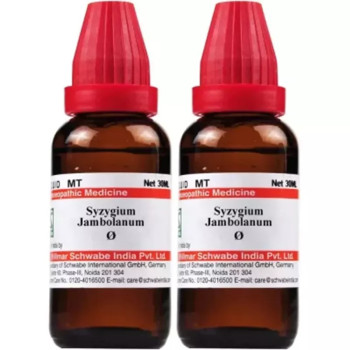 Willmar Schwabe India Syzygium Jambolanum 1X (Q) (30ml, Pack of 2)