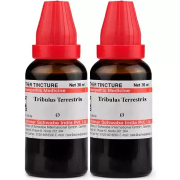 Willmar Schwabe India Tribulus Terrestris 1X (Q) (30ml, Pack of 2)